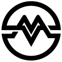Mvizors logo - Similar company to Drill Down Analytics Llc