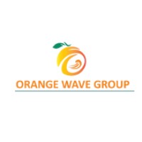 Orange Wave Group logo - Similar company to Quantum Networks, Llc