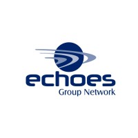 ECHOES SOLUÇÕES AVALIAÇÕES & AUTOVISTORIAS logo - Similar company to Cnxline - Negócios E Franquias.