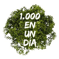 1000 En un día logo - Similar company to Mp4 Pro | Más Conscientes