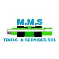 MMS TOOLS & SERVICES SRL logo - Similar company to Proilde Srl