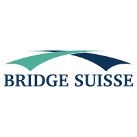 Bridge Suisse GmbH logo - Similar company to Sourcing Heads Gmbh