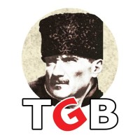 Türkiye Gençlik Birliği logo - Similar company to Vatan Partisi