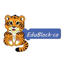 Edublock.co logo - Similar company to Iot Automation & Apps
