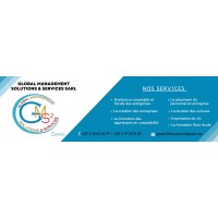 Global Management Solutions And Services Sarl logo - Similar company to Ortho Services