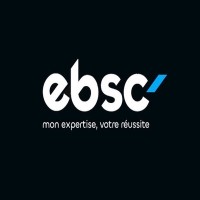 EB Strategic Consulting logo - Similar company to Zepthon