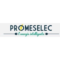 PROMESELEC logo - Similar company to Promeselec