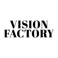 Vision Factory Consulting logo - Similar company to After Advisory