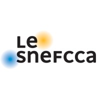 Snefcca logo - Similar company to Positiv Tech