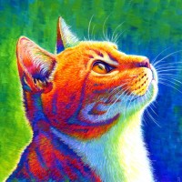 Psychedelic Zen logo - Similar company to 420Interactive