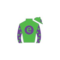 e Five Racing Thoroughbreds, LLC logo - Similar company to E Five