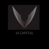 Vi Capital LLC logo - Similar company to Exagon Llc