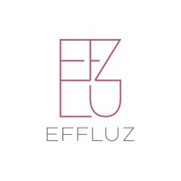 Effluz logo - Similar company to Empleapp S.R.L.