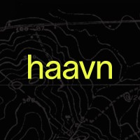 Haavn logo - Similar company to Sola Strategy