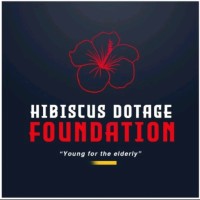 Hibiscus Dotage Foundation logo - Similar company to Digikirnt