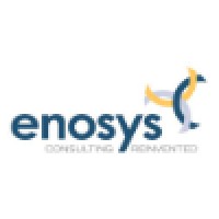 The Enosys Group logo - Similar company to Tpg Consulting