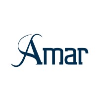 Amar Group AS logo - Similar company to Ankit Sharma