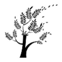 Clear Resolutions, LLC logo - Similar company to Darrigo & Diaz