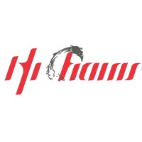 Hichains Corporation logo - Similar company to Aeroband