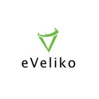 Eveliko logo - Similar company to Endatix