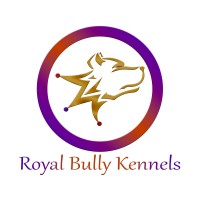 Royal Bully Kennels
