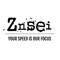 Znsei logo - Similar company to Brikka
