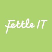 Fettle IT - Jargon Free Consultancy logo - Similar company to Twentyseven