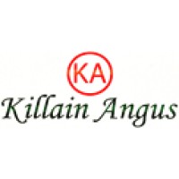 Killain Angus logo - Similar company to Senesino (Numnuts®)