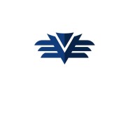 V S International