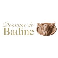 Domaine de Badine logo - Similar company to Lebolabo, Atelier De Tirage D’Art