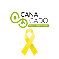 Canacado logo - Similar company to Yellow Brick Technologies