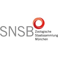 Zoologische Staatssammlung München logo - Similar company to Dreymann Group