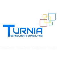 Turnia Technology and Consulting logo - Similar company to Softycom