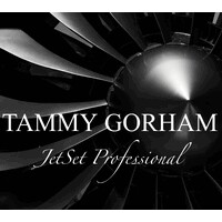 Tammy Gorham | JetSet Professional logo - Similar company to Glow Living By Chandra Lynn