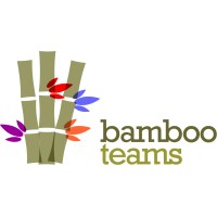 Bamboo Teams logo - Similar company to Camelbak Ch