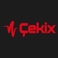 Çekix Information Technologies Marketing and Trade Inc. logo - Similar company to Siber Ninja