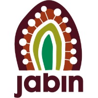 Jabin logo - Similar company to Deadly Coders