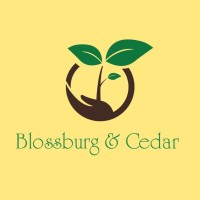 Blossburg & Cedar LLC logo - Similar company to Partnership For Better Health