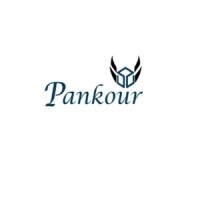 Pankour logo - Similar company to Alpha American Inc.