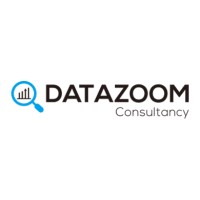 DataZoom Analytics & Consultancy logo - Similar company to Workflexnow