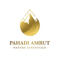 Pahadi Amrut logo - Similar company to Anoraks Technology