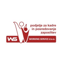 WS - Working Service logo - Similar company to Heruc D.D.