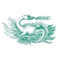 Salamander Investment Network