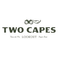 Two Capes Lookout logo - Similar company to Fdomes