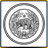 The Bear News