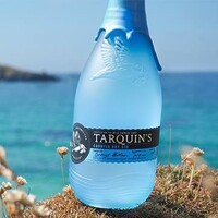 Southwestern Distillery (Tarquin’s Gin, Twin Fin Rum, Connie Glaze Vodka, Tinner Bros Whisky) logo - Similar company to Luscombe Drinks