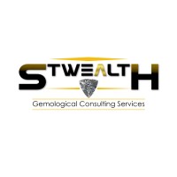 Stwealth (Pty) Ltd logo - Similar company to Professionalism_Ish