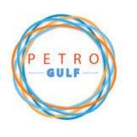 Petro Gulf ZA logo - Similar company to Diseller.Com