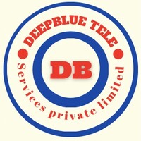 DEEPBLUE T.SERVICES Pvt Ltd logo - Similar company to Get Back To Work