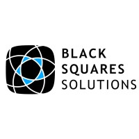 Black Squares Solutions logo - Similar company to Computing With Data